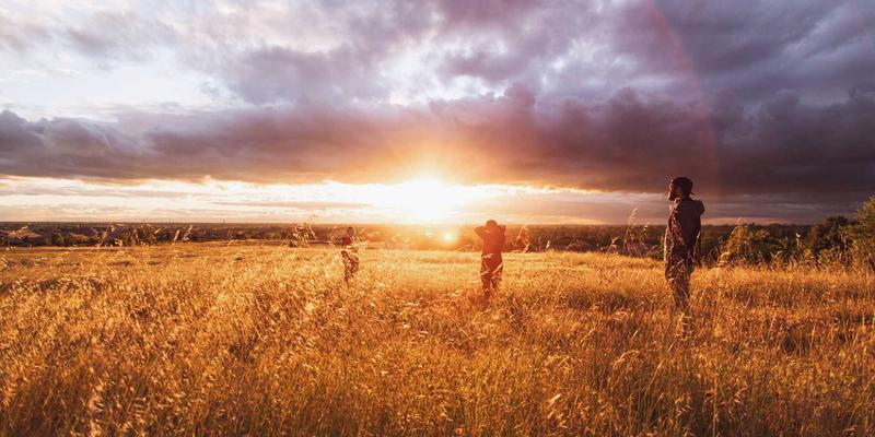 工业风科技实战：用SD-WAN为多分支企业编织一张智能网络（附核心逻辑解析）